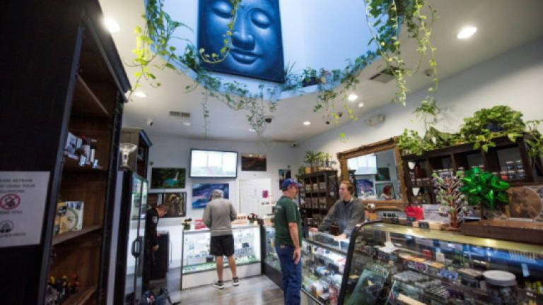 In California, high hopes for 'green rush' with advent of legal pot