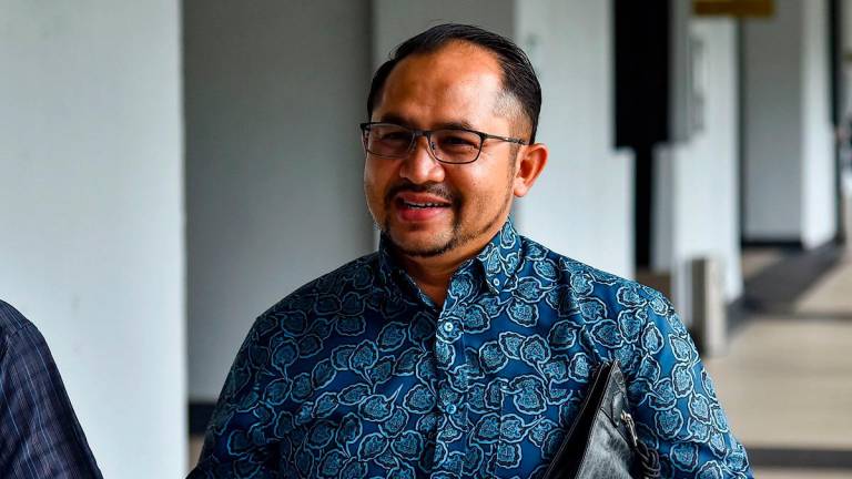 - BERNAMApix