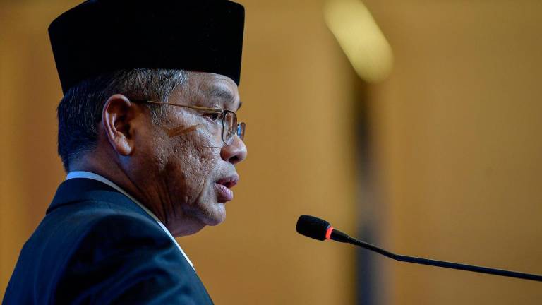 - BERNAMApix
