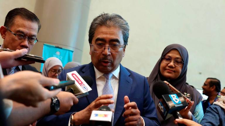 Bernamapix