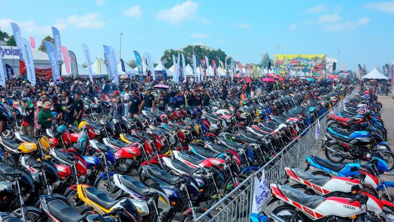 - BERNAMApix