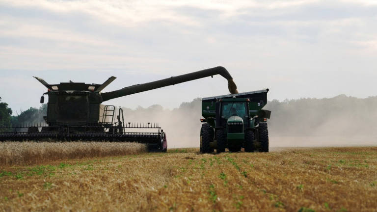Chad Ward harvests winter wheat in a John Deere combine near Skedee, Oklahoma, U.S. June 13, 2024. - REUTERS
