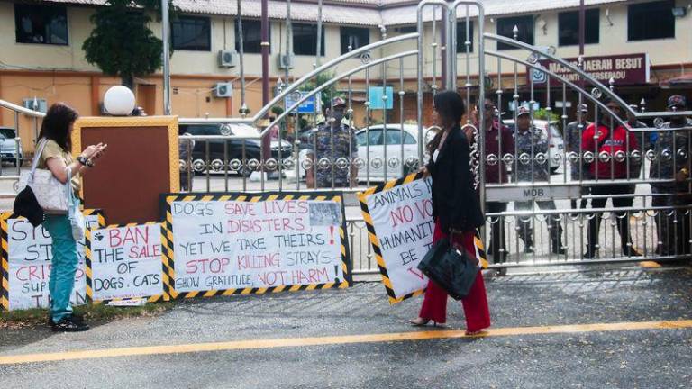 A rally demanding answers from the Besut District Council (MDB) over the recent shooting of a stray dog named Kopi saw a surprisingly low turnout, with only two women from Kuala Lumpur, led by animal rights advocate Sue Ann Kong (right), present. - BERNAMAPIX