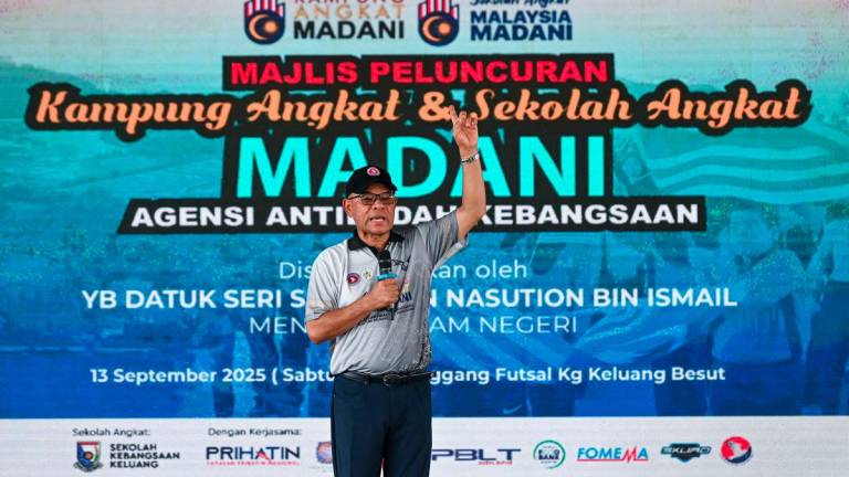 BERNAMAPIX