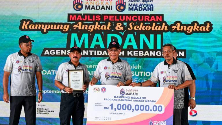 BERNAMAPIX