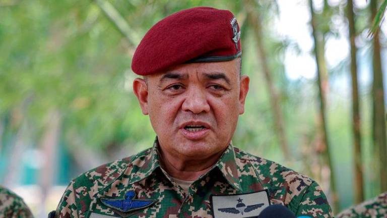 Army Chief General Tan Sri Muhammad Hafizuddeain Jantan - Photo by BERNAMA