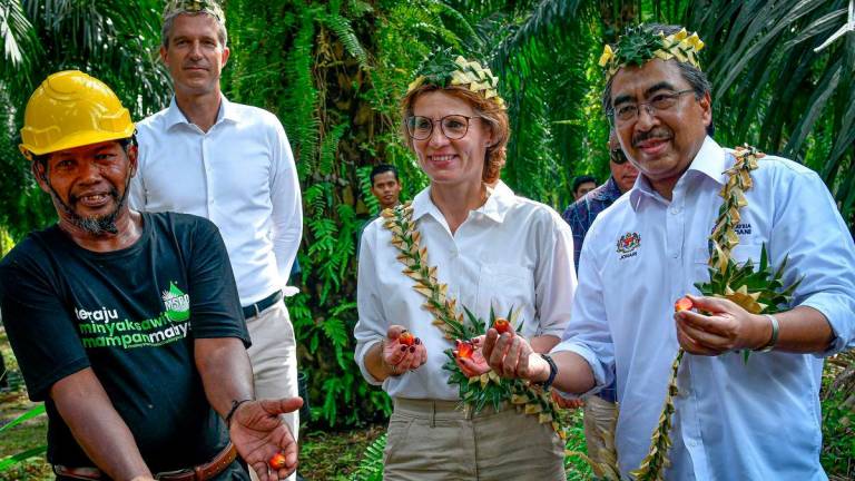 Menteri Perladangan dan Komoditi Datuk Seri Johari Abdul Ghani (kanan) bersama Pesuruhjaya Eropah bagi Alam Sekitar, Ketahanan Air dan Ekonomi Kitaran Berdaya Saing, Jessika Roswall (dua, kanan) ketika hadir melawat Ladang Kelapa Sawit di Kampung Sungai Judah Pulau Carey, hari ini - fotoBERNAMA