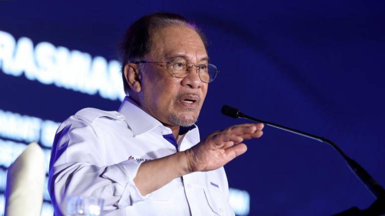 BERNAMApix