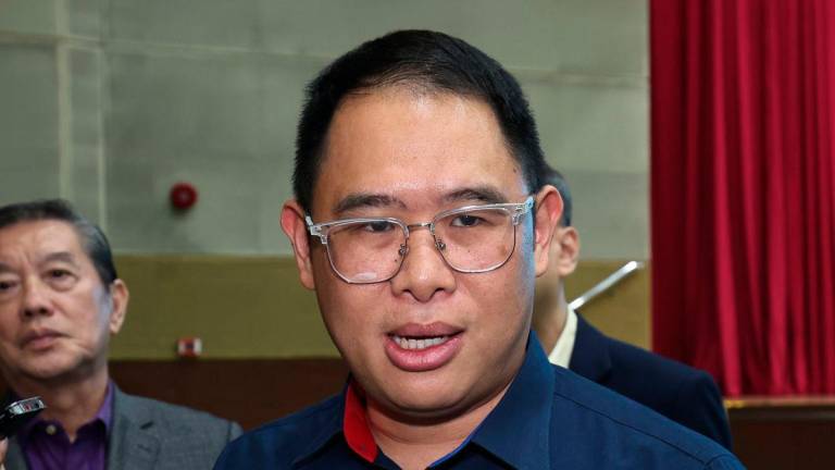 Johor Health and Environment Committee chairman Ling Tian Soon - Photo by BERNAMA