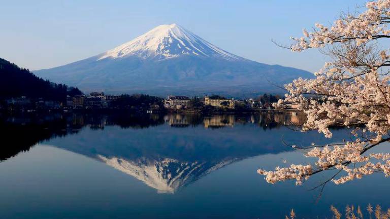 General view of cherry blossom trees with Mount Fuji in the background at Lake Kawaguchiko, Fujikawaguchiko - REUTERSpix