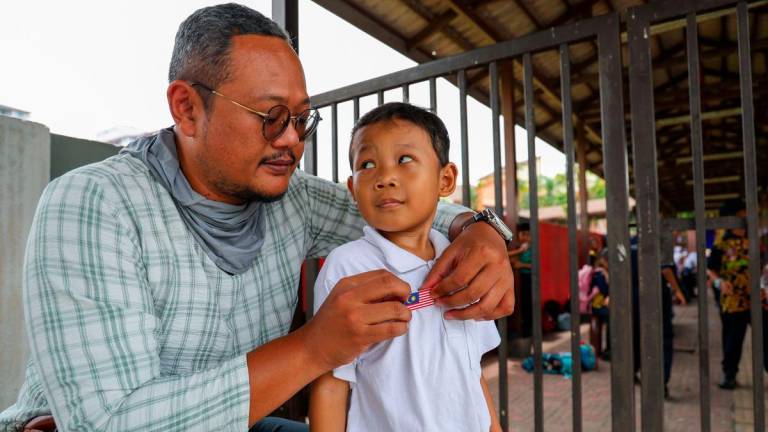 Lee said while he supports the patriotic initiative, the injury suffered by the pupil highlights a critical oversight. – Adam Amir Hamzah/theSun