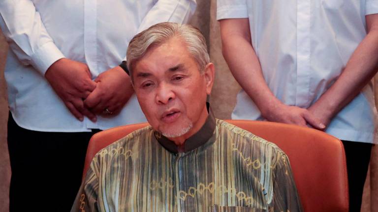 BERNAMApix