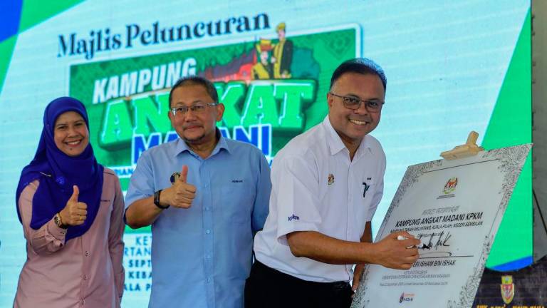 BERNAMApix