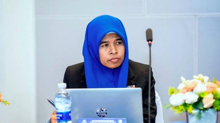 Pix for representational purpose only - BERNAMApix