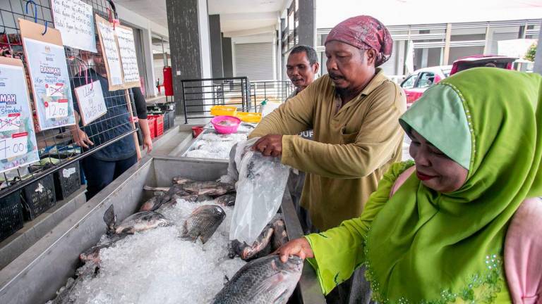 Ali Busu, 53 (dua, kiri) bersama isterinya Abong Angah, 57 (kanan) memilih ikan ketika menghadiri Program Jualan Rahmah MADANI (PJRM) yang diadakan di Pusat Sehenti Aktiviti Orang Asli (OAOSC) di sini. - fotoBERNAMA