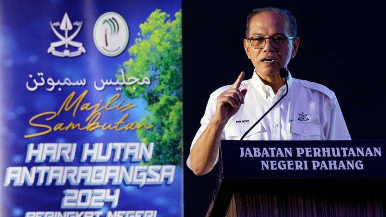 Pahang Menteri Besar Datuk Seri Wan Rosdy Wan Ismail - BERNAMApix