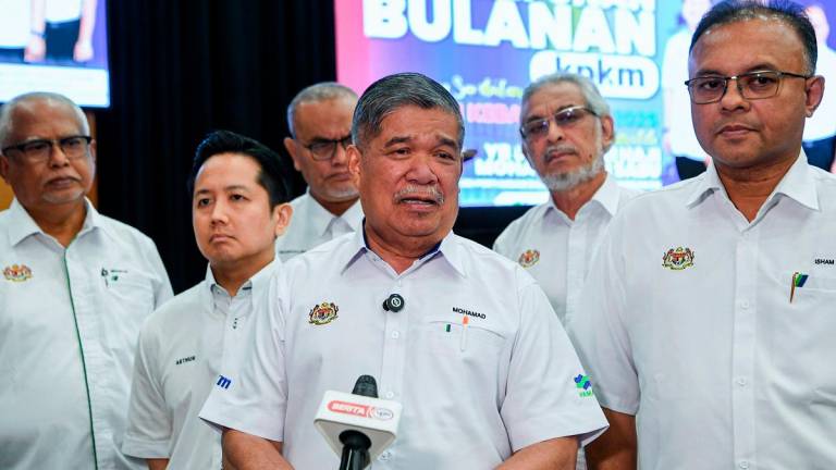 - BERNAMApix