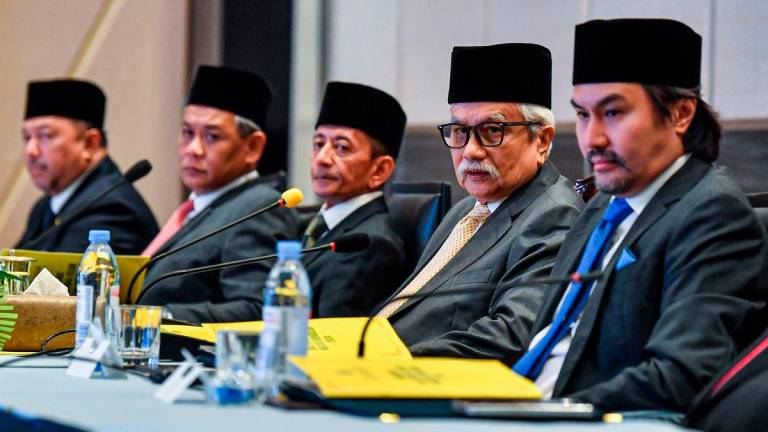 BERNAMApix