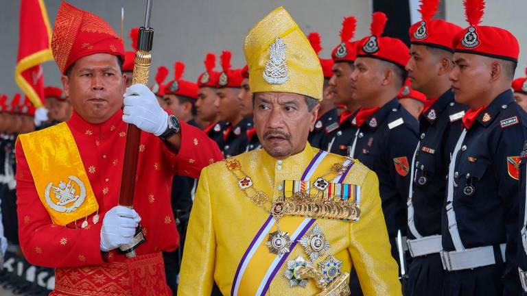 Sultan Terengganu, Sultan Mizan Zainal Abidin - BERNAMA