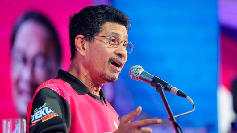 Pengerusi Tabung Ekonomi Kumpulan Usaha Niaga Nasional Datuk Abdullah Sani Abdul Hamid - fotoBERNAMA