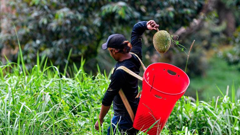 Gambar hiasan - fotoBERNAMA
