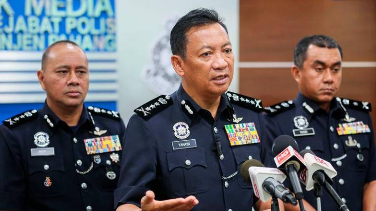 BERNAMAPIX