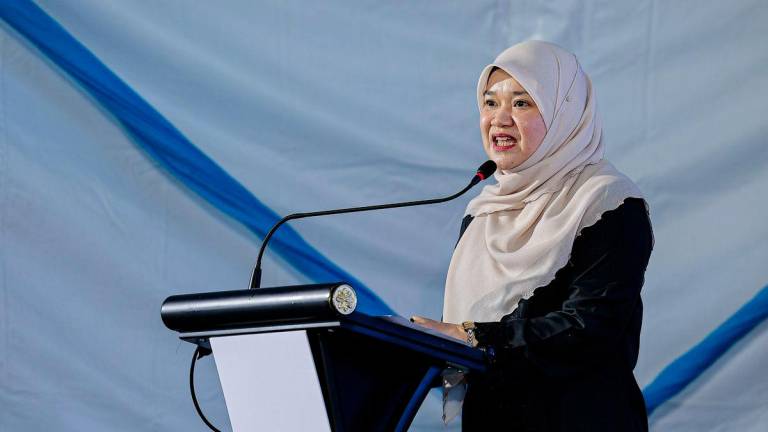 BERNAMAPIX