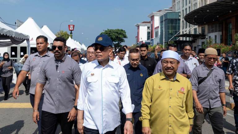 BERNAMApix