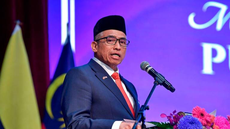 BERNAMApix