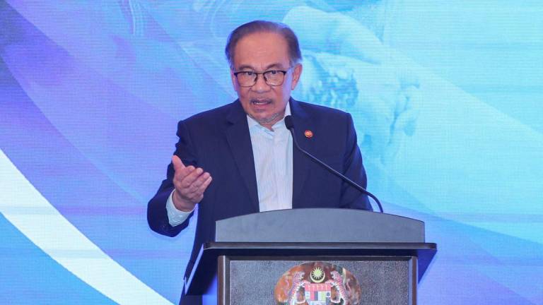 BERNAMAPIX
