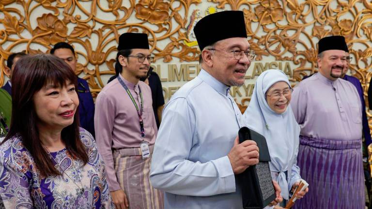 BERNAMApix