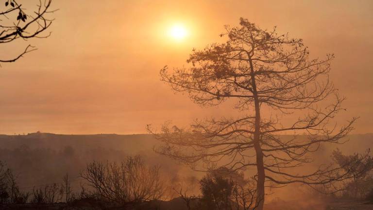 Smoke fills the air as firefighters battle a forest fire in the Cypriot village of Souni, in the Limassol province, on July 24, 2025. (Photo by Etienne TORBEY / AFP)