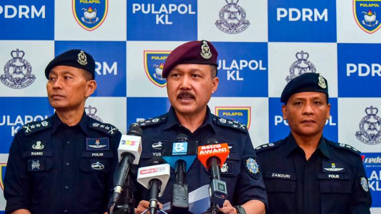 BERNAMApix