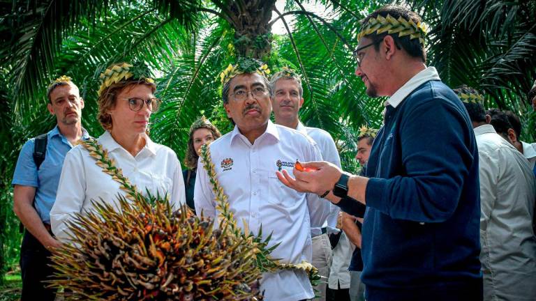 Menteri Perladangan dan Komoditi Datuk Seri Johari Abdul Ghani (dua, kanan) bersama Pesuruhjaya Eropah bagi Alam Sekitar, Ketahanan Air dan Ekonomi Kitaran Berdaya Saing, Jessika Roswall (kiri) ketika hadir melawat Ladang Kelapa Sawit di Kampung Sungai Judah Pulau Carey, hari ini. - BERNAMA