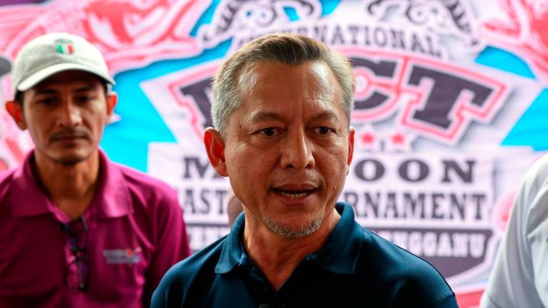 Tourism, Culture, Environment and Climate Change Committee chairman Datuk Razali Idris