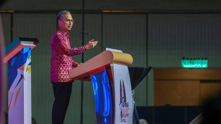 BERNAMAPIX
