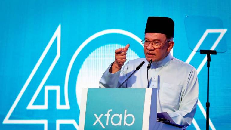BERNAMApix