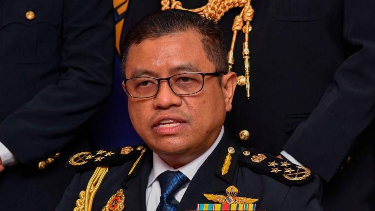 BERNAMApix