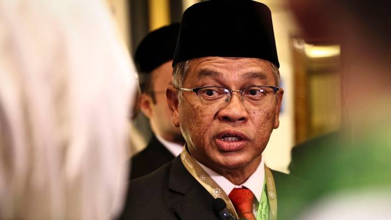 BERNAMApix