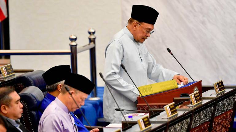 BERNAMApix