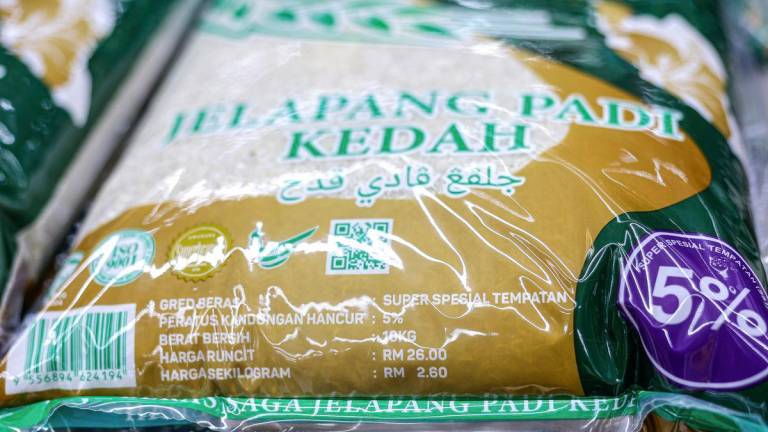 Pix for representational purposes - BERNAMAPIX