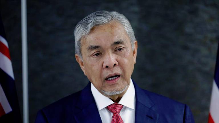 BERNAMApix