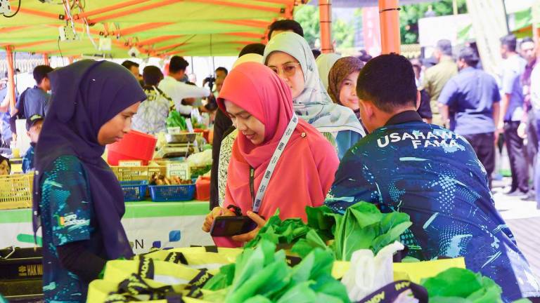 Pix for representational purpose only - BERNAMApix