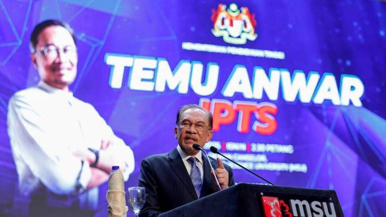 BERNAMApix