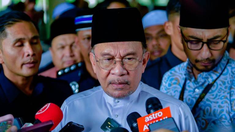 BERNAMApix