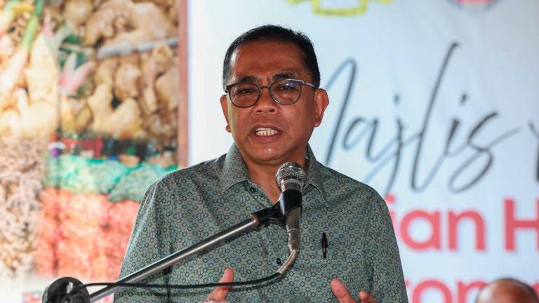 Menteri Pertahanan, Datuk Seri Mohamed Khaled Nordin berucap pada Majlis Perasmian Tuaian Halia Bentong Muda di Parlimen Kota Tinggi di Kampung Gembut, Tanjung Sedili hari ini - BERNAMA