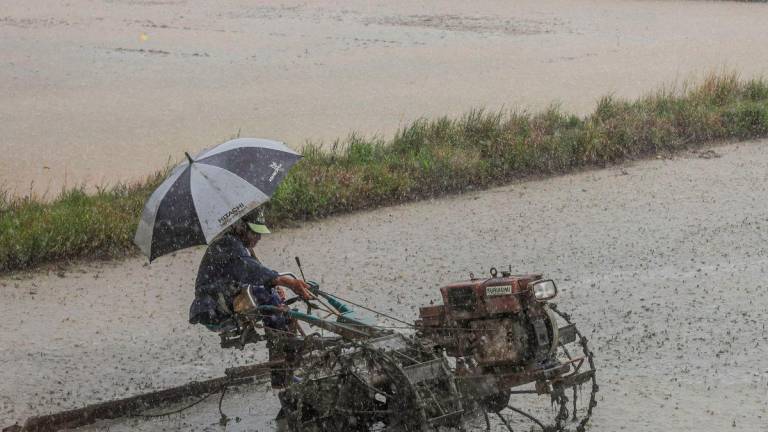 Image for visual purposes - Photo by BERNAMA