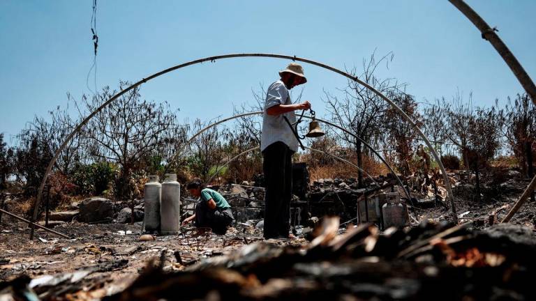 Livluv Melnikov, 33, check a burnt part of his farm where missile attack from Iran last week lit a fire that eventually, with wind support, totally burnt the farm, near Yavneel, Israel June 25, 2025. - REUTERSPIX