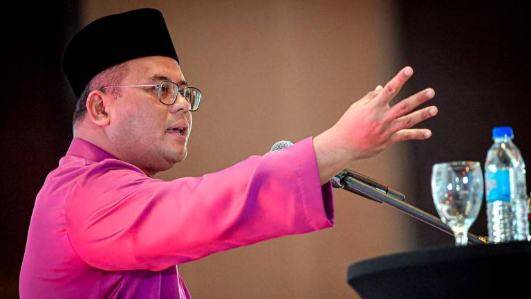 BERNAMAPIX