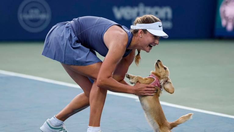 Anna Kalinskaya celebrates with her dog Bella on the court after winning her women’s singles match against Emma Raducanu of the United Kingdom on day 6 of the Mubadala Citi DC Open 2025 at William H.G. FitzGerald Tennis Center on July 26, 2025 in Washington, DC - Photo by Scott Taetsch / GETTY IMAGES NORTH AMERICA / AFP